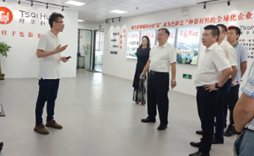 时任市委常委、副市长王涛莅临材华科技参观调研